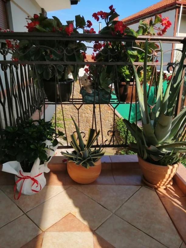Guesthouse Athanasiou Loutraki  Exterior photo